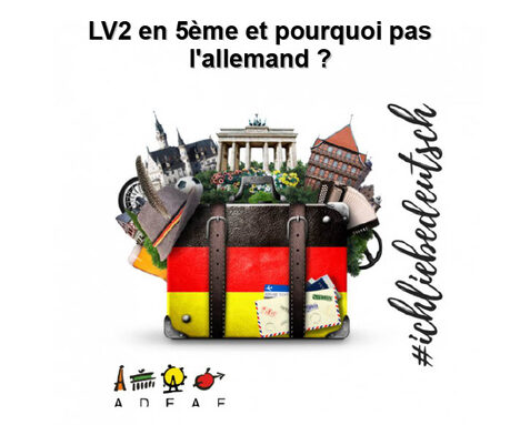 ALLD 5è.jpg